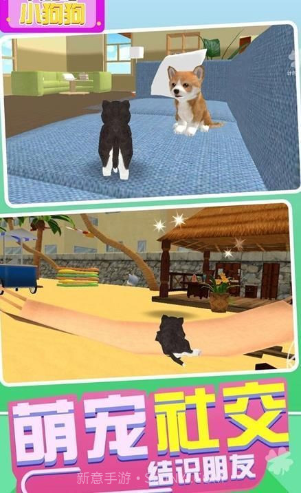 奔跑吧小狗狗截图2