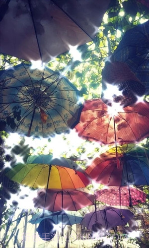 KiraDroid截图2 KiraDroid截图2