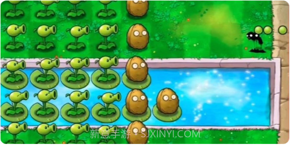 植物大战僵尸活死人之园截图4 植物大战僵尸活死人之园截图4