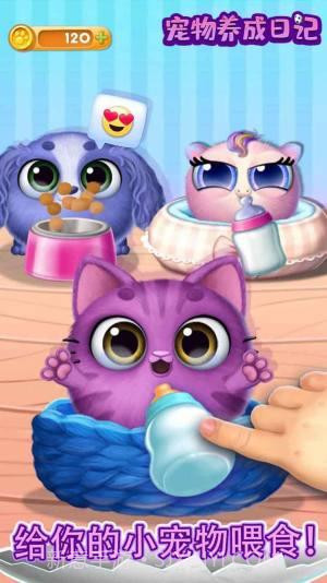 宠物养成日记单机截图1 宠物养成日记单机截图1