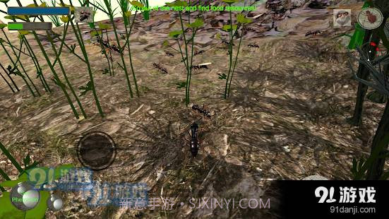 3d蚂蚁模拟器中文版截图2 3d蚂蚁模拟器中文版截图2