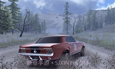 CarX拉力赛15609截图4