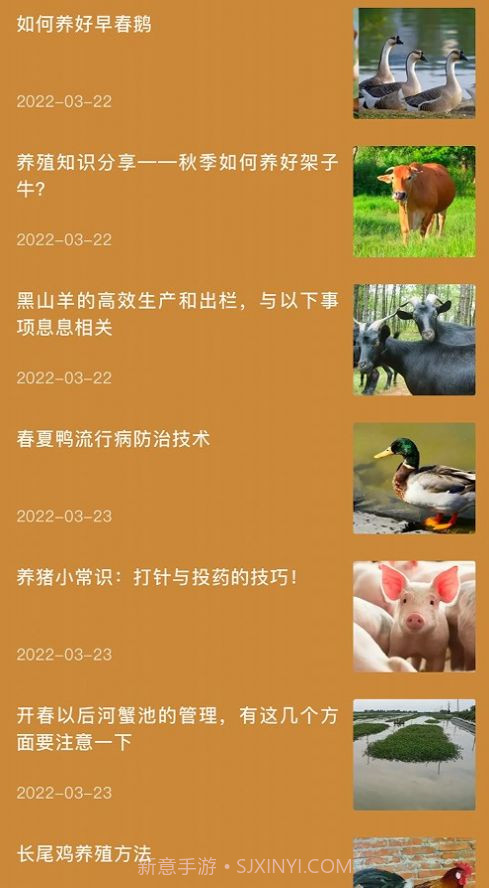 田园小院子截图3 田园小院子截图3