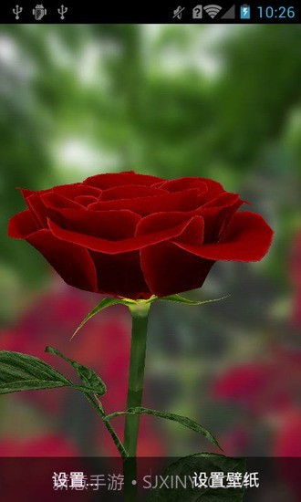 3D玫瑰动态壁纸截图3