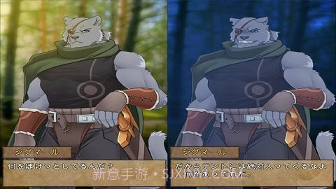 野兽战士的夜晚截图1