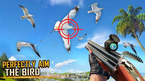 野鸟狩猎截图1