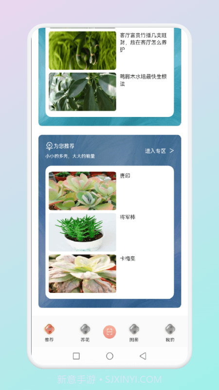 拍照识花草截图1 拍照识花草截图1