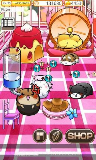 可爱的小仓鼠 Hamster Life截图5