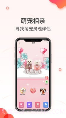 相宠截图2