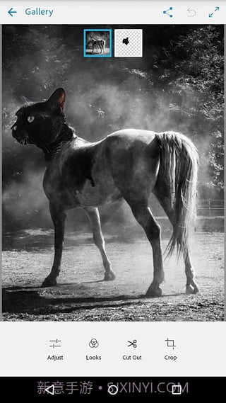 Adobe Photoshop Mix截图4