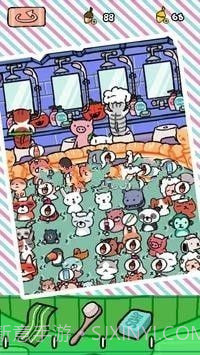 猫咪汗蒸馆截图3 猫咪汗蒸馆截图3