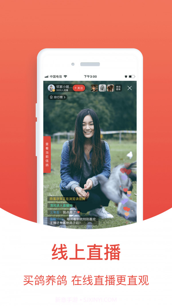 赛鸽头条截图2 赛鸽头条截图2