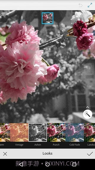 Adobe Photoshop Mix截图1