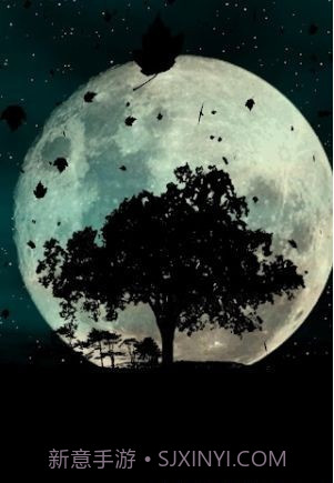 秋天动态壁纸截图2