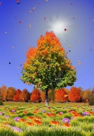 秋天动态壁纸截图1