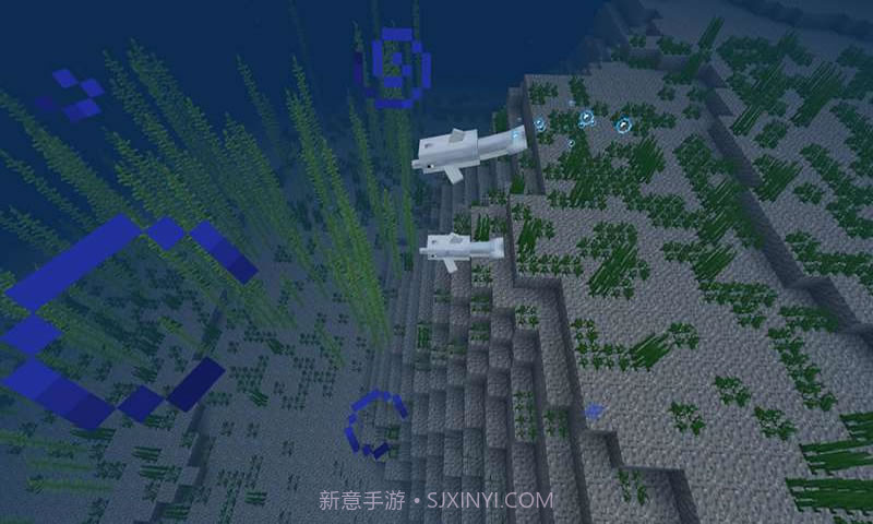 我的世界海洋最新版截图4 我的世界海洋最新版截图4