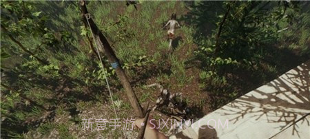 饥饿荒野求生官网版截图1