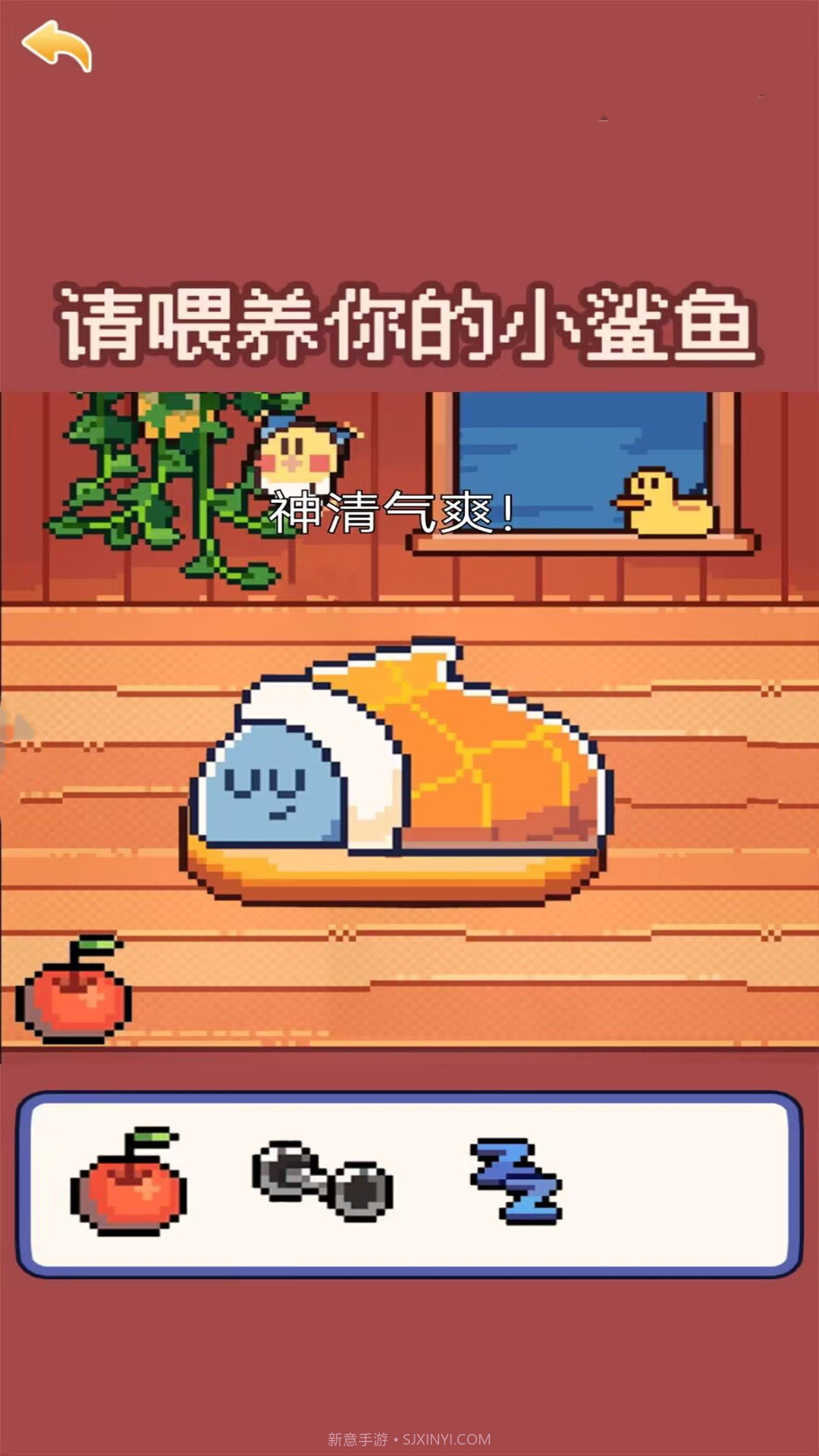 我的可爱小鲨鱼截图2