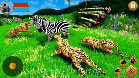 猎豹家庭模拟器截图3 猎豹家庭模拟器截图3