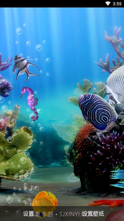 真正的水族馆Therealaquarium动态壁纸截图4 真正的水族馆Therealaquarium动态壁纸截图4