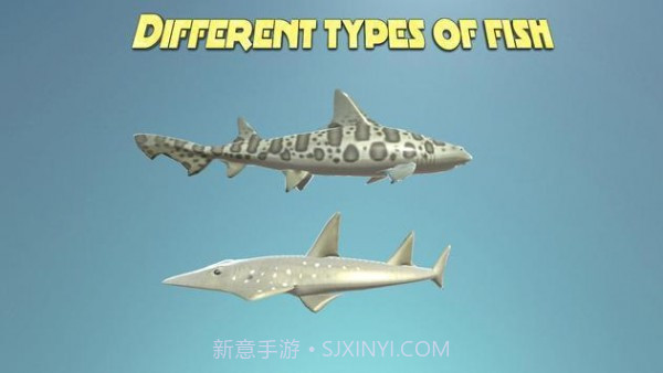 真正的鲨鱼模拟器截图1