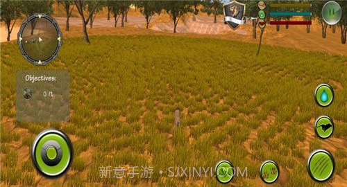 野生狮子2022截图1 野生狮子2022截图1