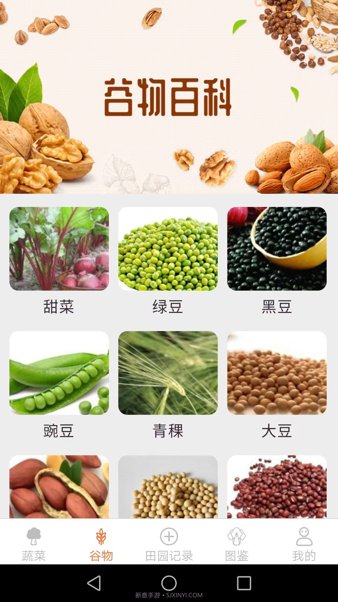 口袋田园截图1 口袋田园截图1