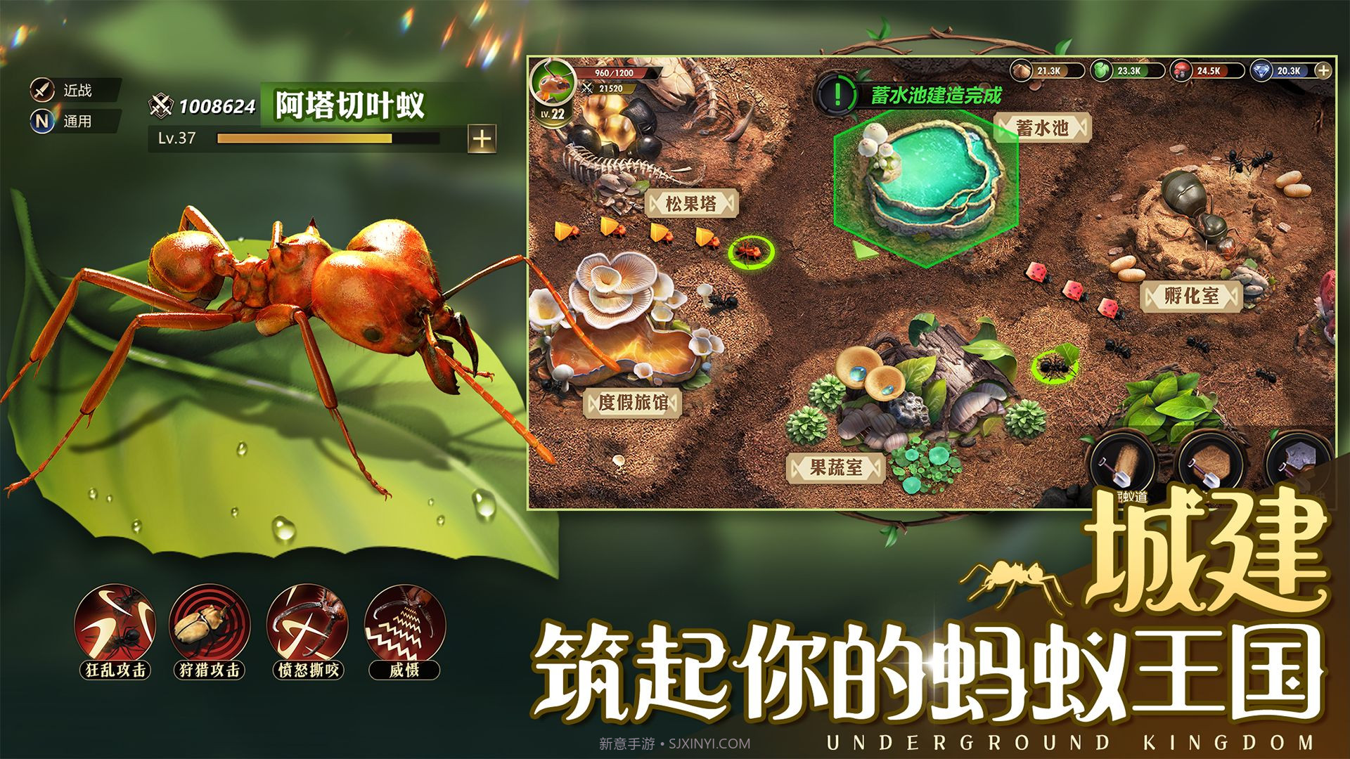 小小蚁国37截图3 小小蚁国37截图3