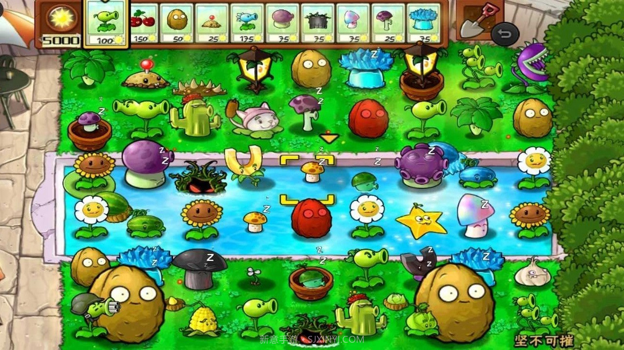 植物大战僵尸1随机模仿者截图2