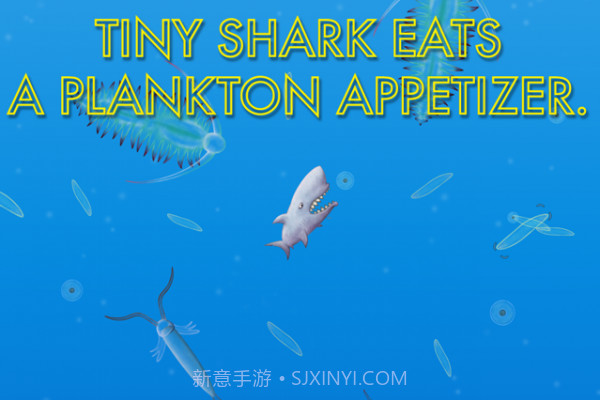 海洋生物进化截图2 海洋生物进化截图2