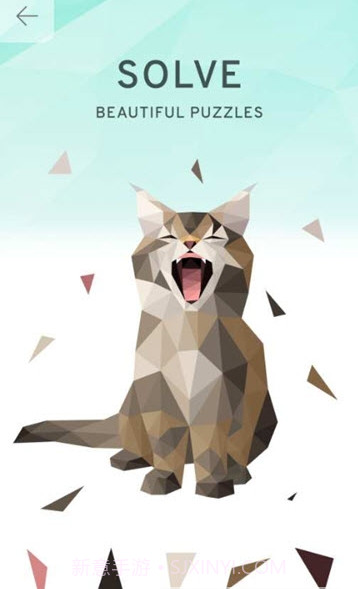 低边岛Poly Island截图1 低边岛Poly Island截图1