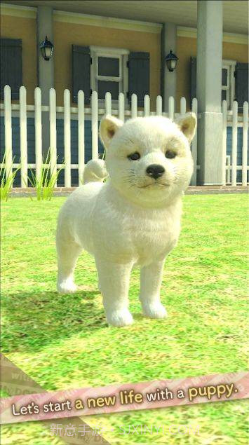 与狗同行截图3 与狗同行截图3