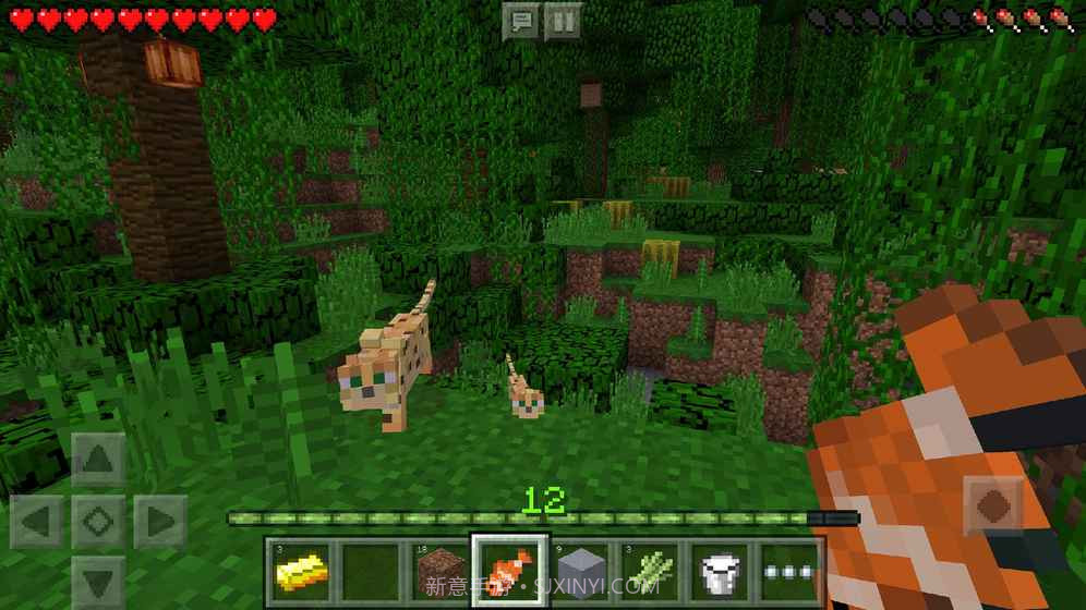 我的世界1.12.0.3国际版截图3