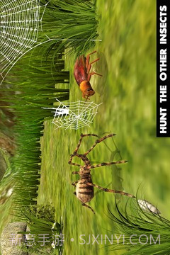 终极蜘蛛模拟器截图1