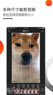 短视频一键去水印截图4 短视频一键去水印截图4