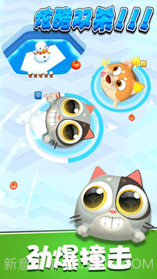 暴走碰碰球免费版截图4