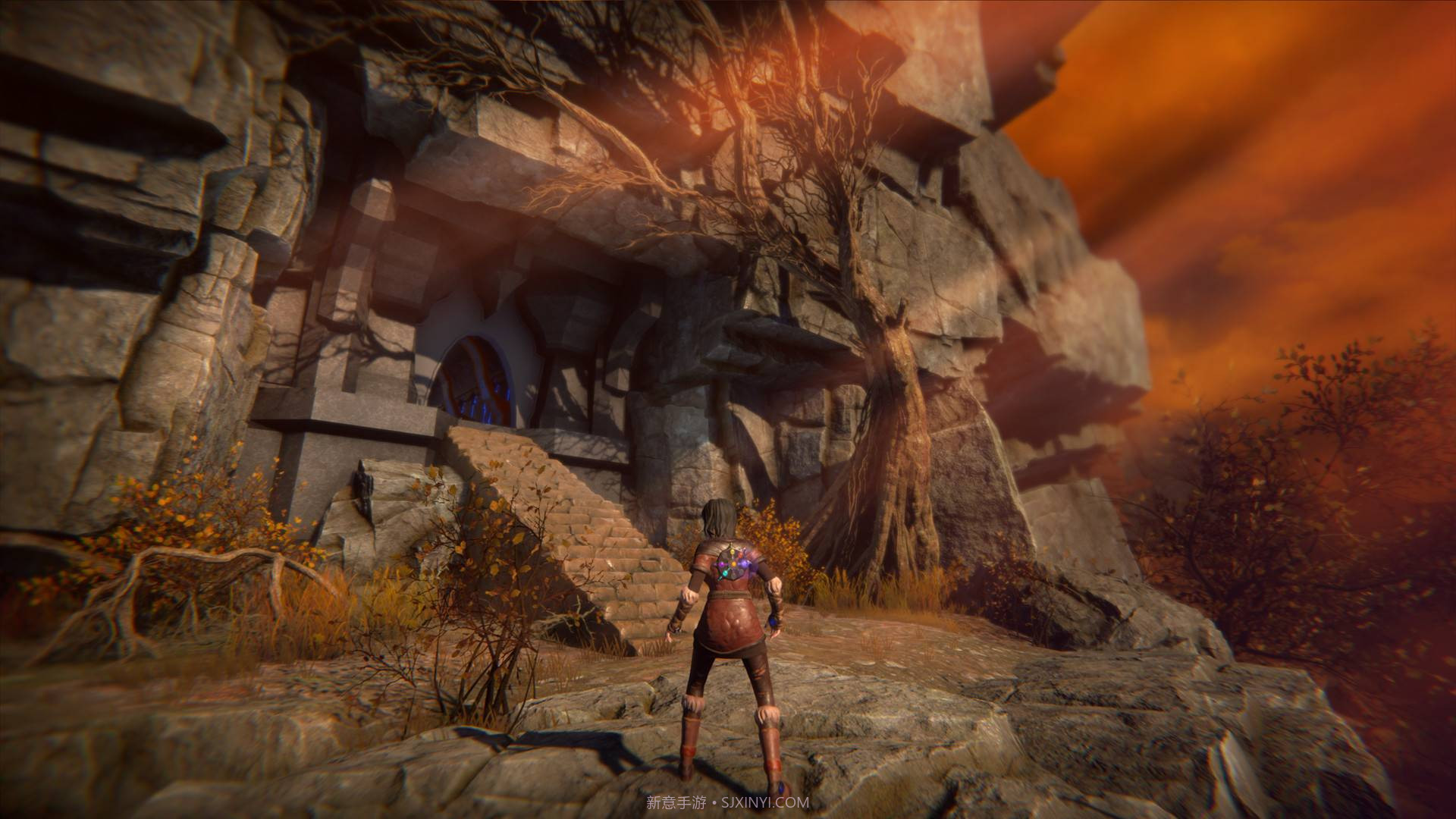 生命之种SeedofLife最新版截图3