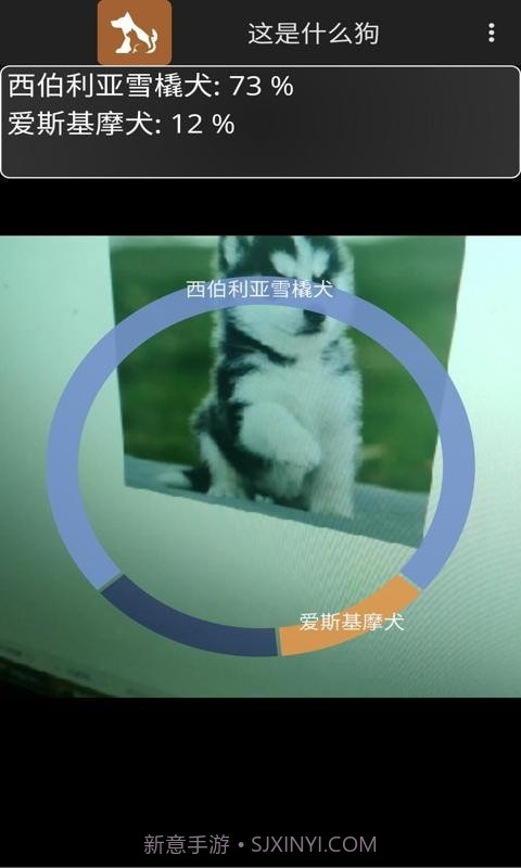 这是什么狗截图5