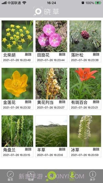 晓草草原植物识别截图1