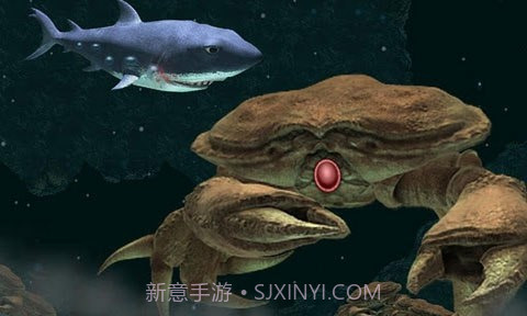 嗜血狂鲨2截图2 嗜血狂鲨2截图2