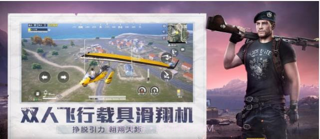 和平精英小蜜蜂助手截图2