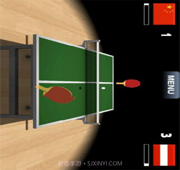 Virtual Table Tennis截图5