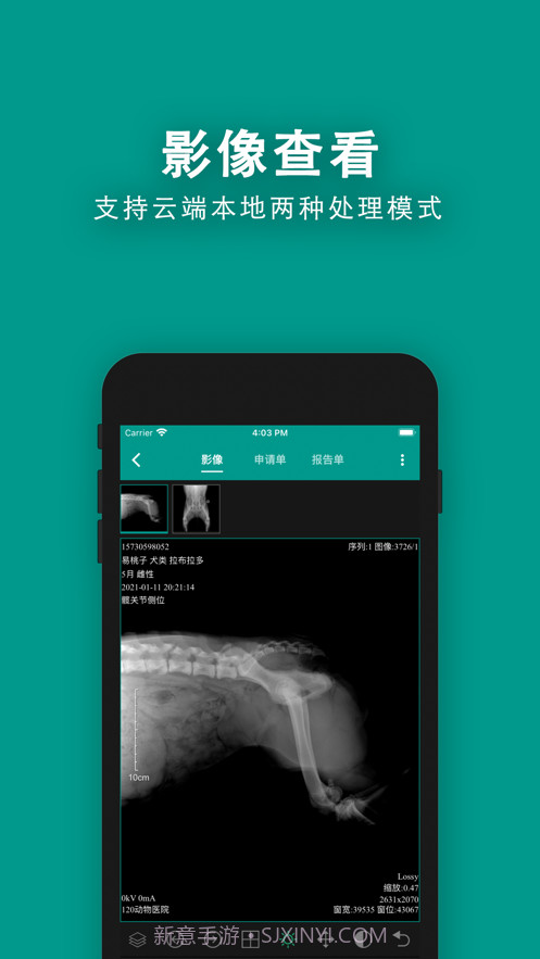 慧龙兽医影像截图2
