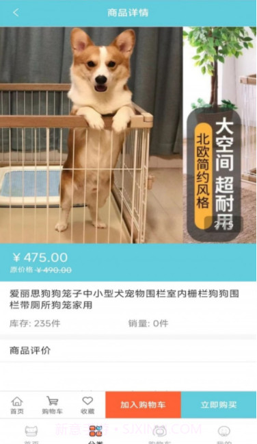 宠粉截图2 宠粉截图2