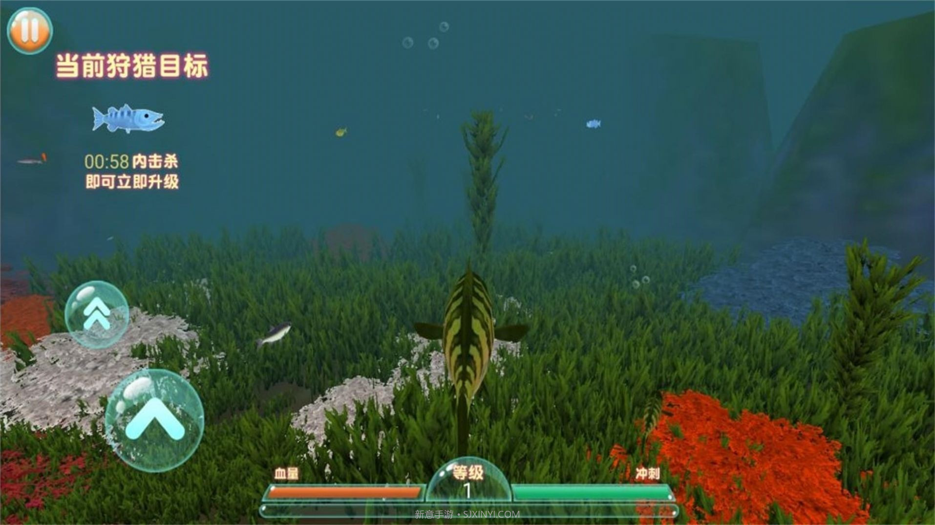 进击的鱼鱼截图3 进击的鱼鱼截图3