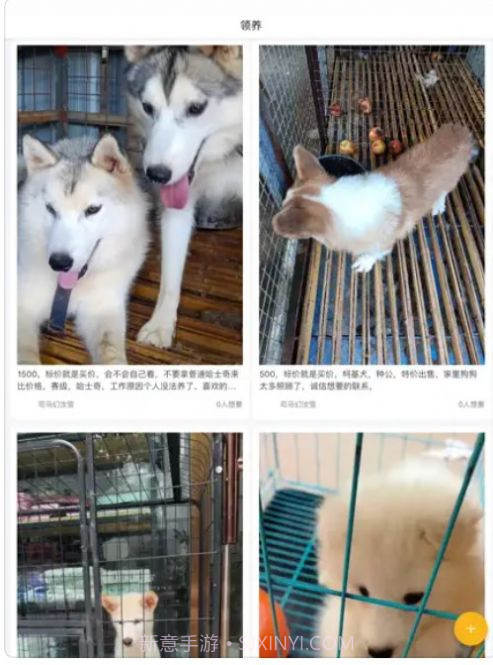 小爱宠物口令截图3 小爱宠物口令截图3