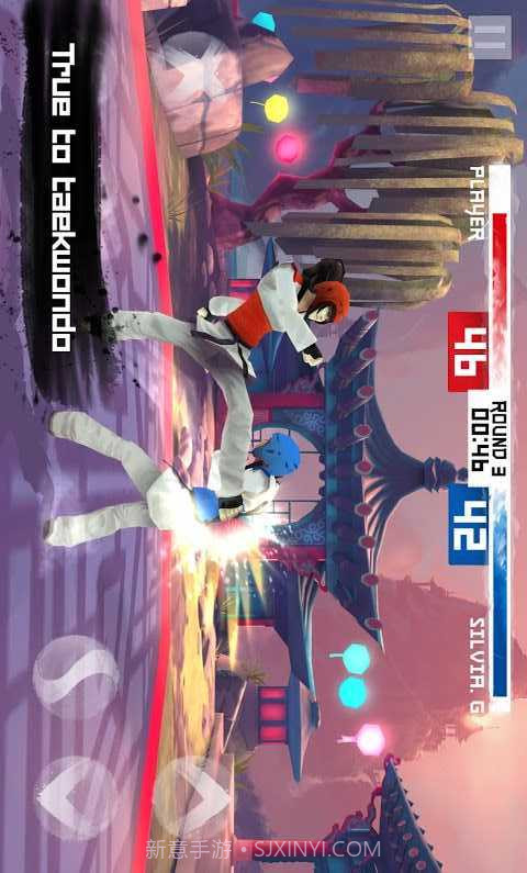 跆拳道截图3 跆拳道截图3