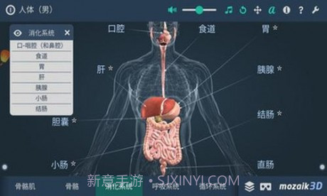 人体解剖3D模型截图1