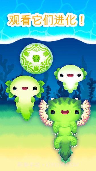 Axolochi 萌宠蝾螈截图4 Axolochi 萌宠蝾螈截图4