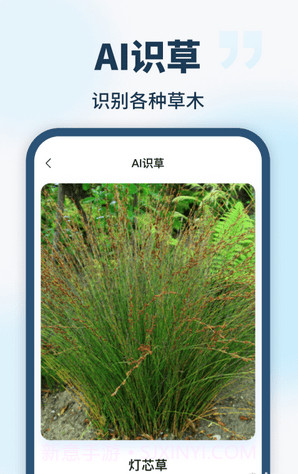 AI智能助手截图4 AI智能助手截图4